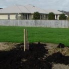 2016.09.29 Mulching. Cambridge Tree Trust